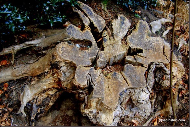 London Diaries – Weathered…