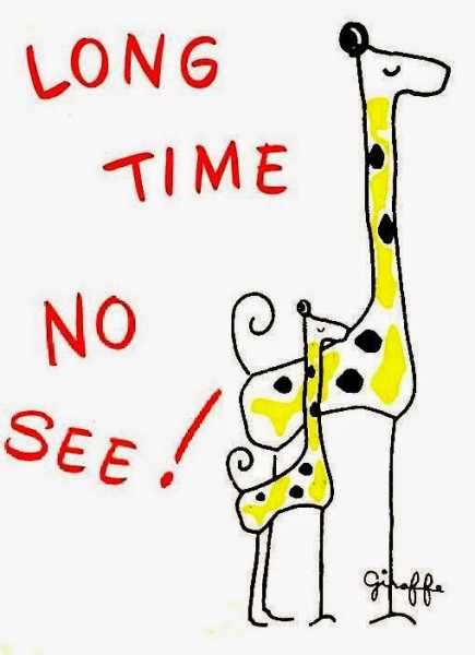 Long Time No See!