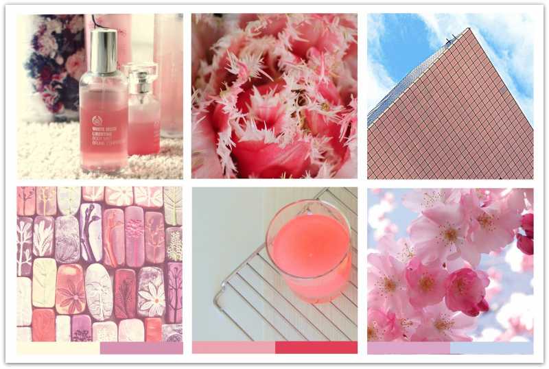 Lookback Sundays | Blush