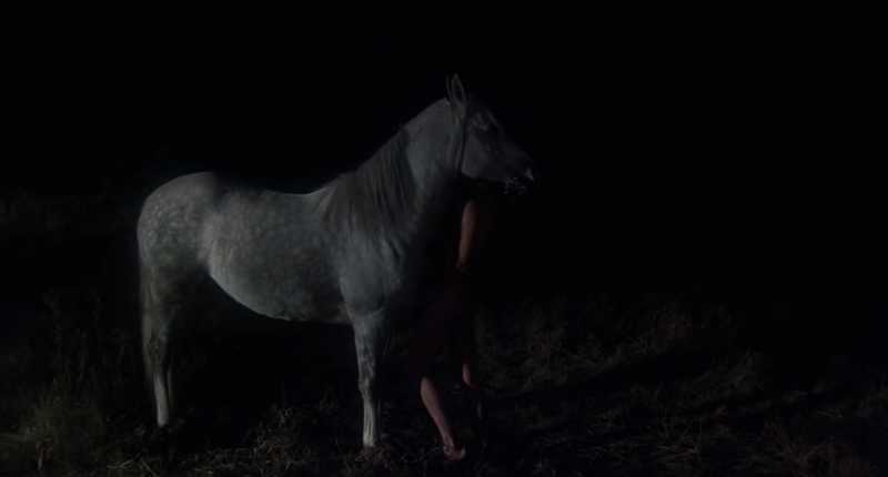 Lookback On Lumet: Equus [1977] - High On Films