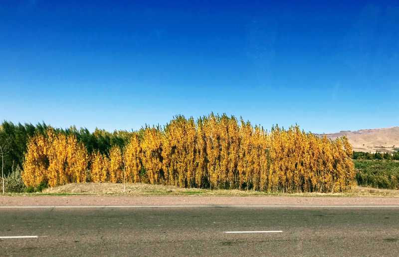 Loss, Letting Go And Life…