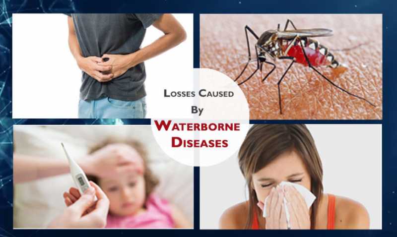 Losses Caused By Waterborne Diseases In Most Recent 5 Years | Squawk Chic