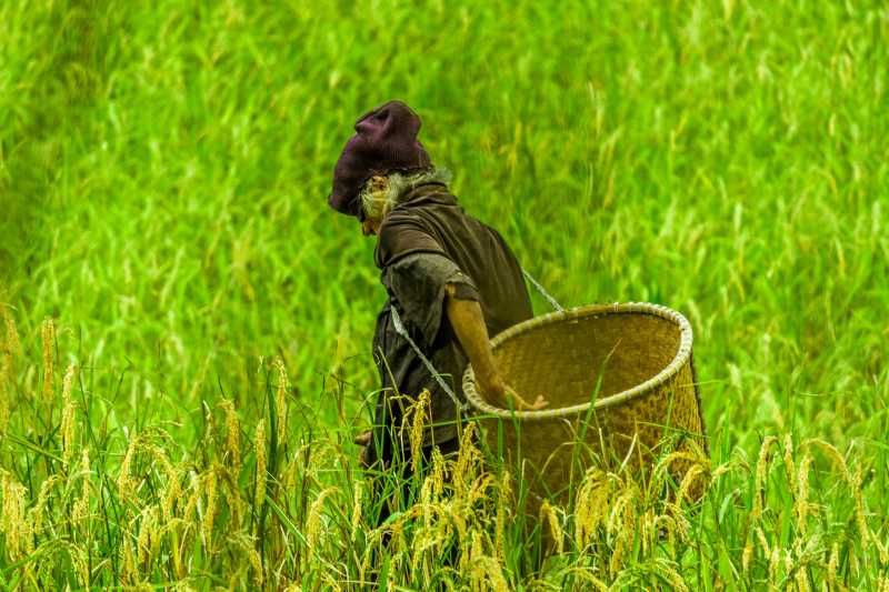 Lost Beauty Of The Apatani Tribe - Curious Foots