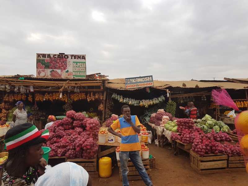 Lost In The Wilderness