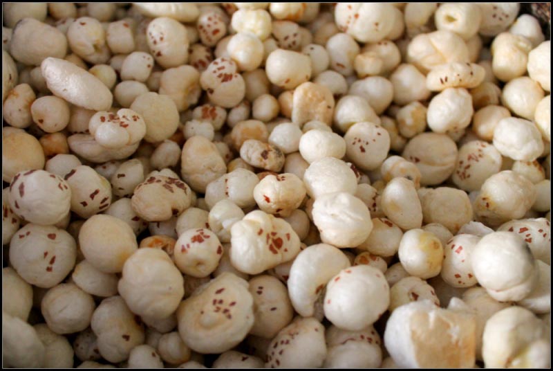 Lotus Seeds (Makhana) - Why These White Puffs Are Gems For All Mothers - The Fit Mom Project