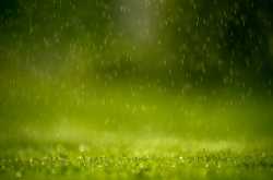 Loud whispers of the silent souls