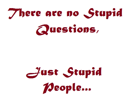 Lousy Questions, Lousy Answers