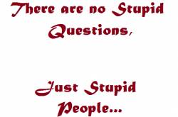 Lousy Questions, Lousy Answers