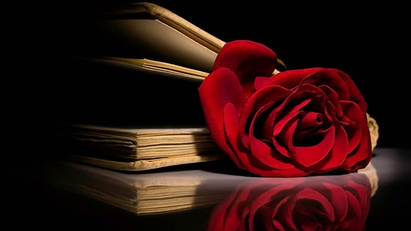 Love: A Deliberate Decision.