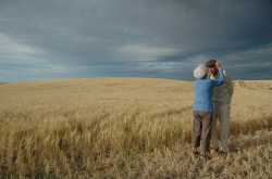 Love In The Time Of Cholera