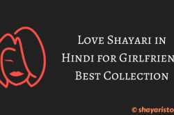 love shayari in hindi for girlfriend best 1000+ collection
