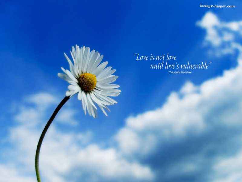 Love And Vulnerability