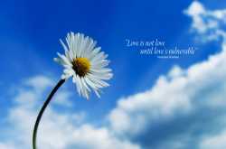 Love and Vulnerability