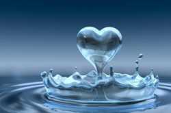 Love at First Sight - The First Sonogram