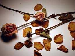 Love Can Happen A Lot Of Times.... After All We All Crave For Love :).