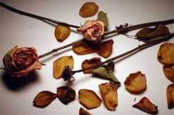 love can happen a lot of times.... after all we all crave for love :).