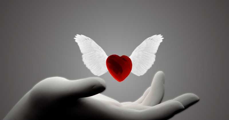 Love Is For The Strong