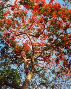 Love Is In The Wait, Love Is In Being Hopeful - Truptea Shop