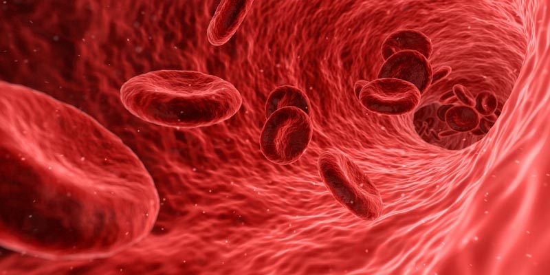 Lowering Blood Cholesterol Levels Avoids Coronary Heart Disease Risk - Cholesterol Fighter
