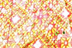 Luggage tag using scrap fabric DIY