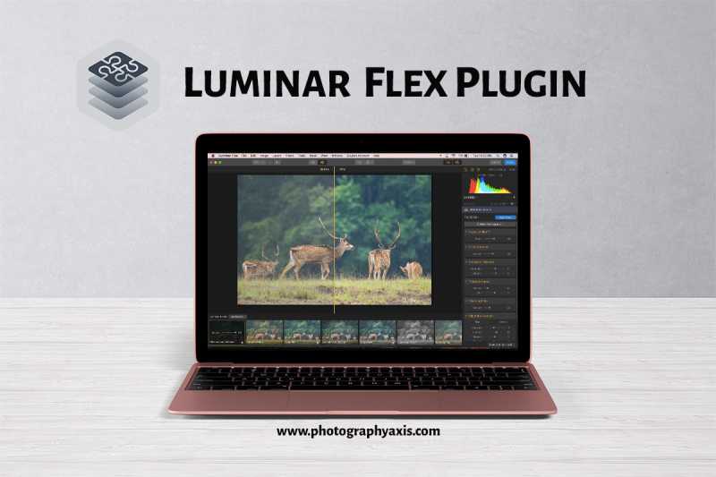 Luminar Flex- Is It An All In One Plugin? - PhotographyAxis