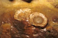 Luray Caverns, Virginia