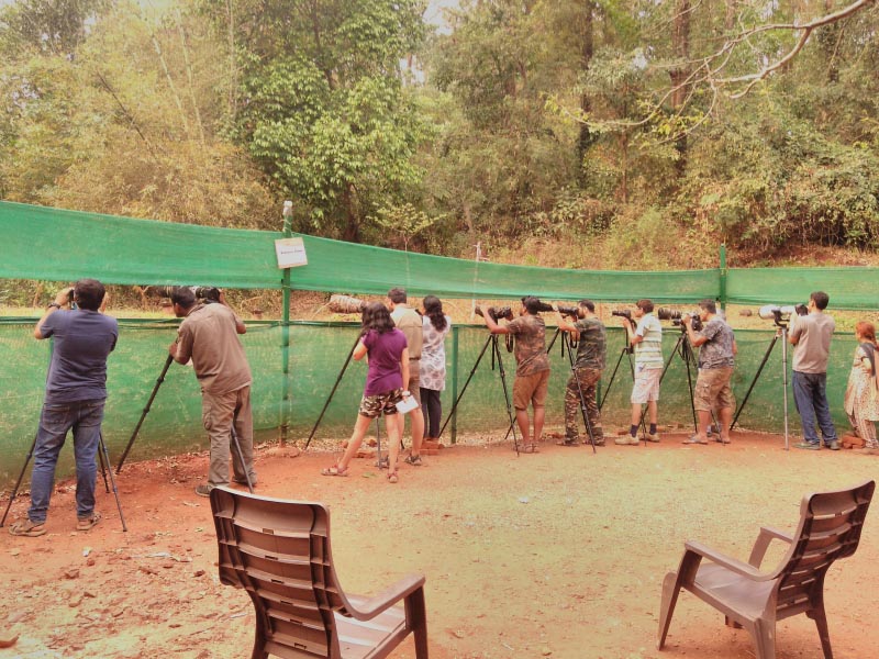 Luxury In Wilderness Of Dandeli- Old Magazine House