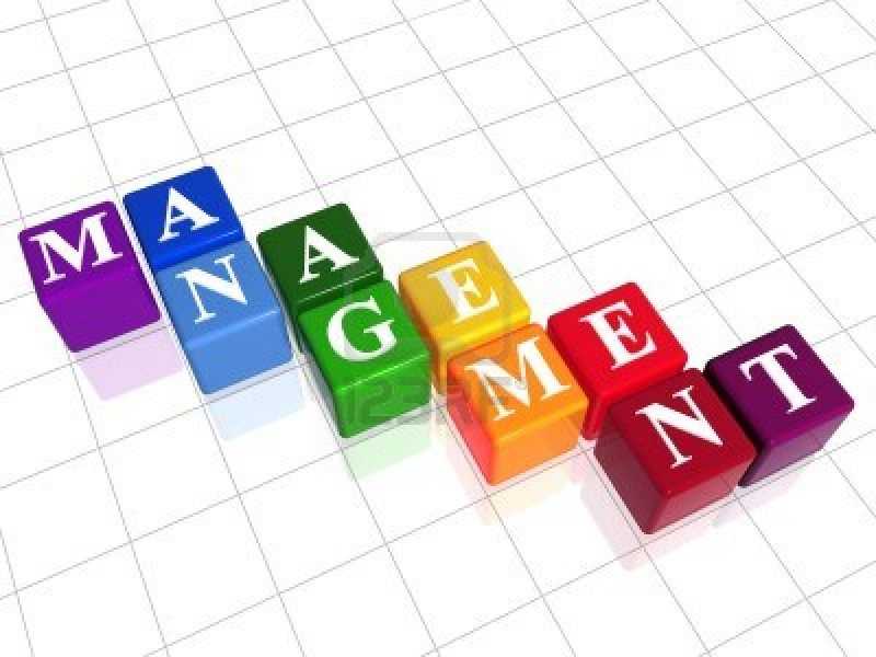 MANAGEMENT OF ORGANISATION