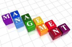 MANAGEMENT OF ORGANISATION