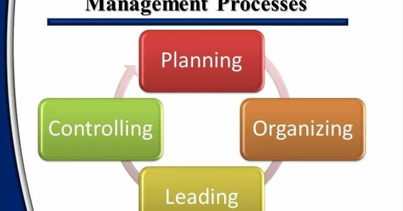 MANAGEMENT PROCESSES