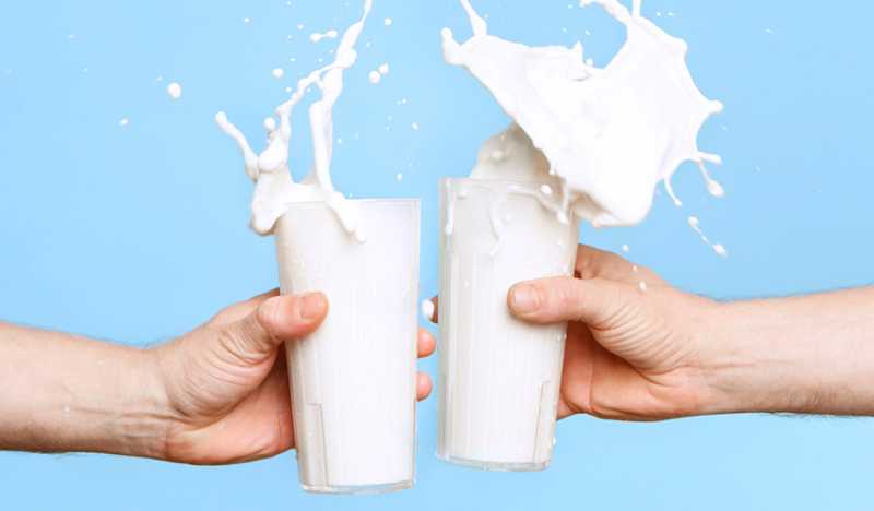 MILK - Myths, Misconceptions & Facts | Shubi Husain