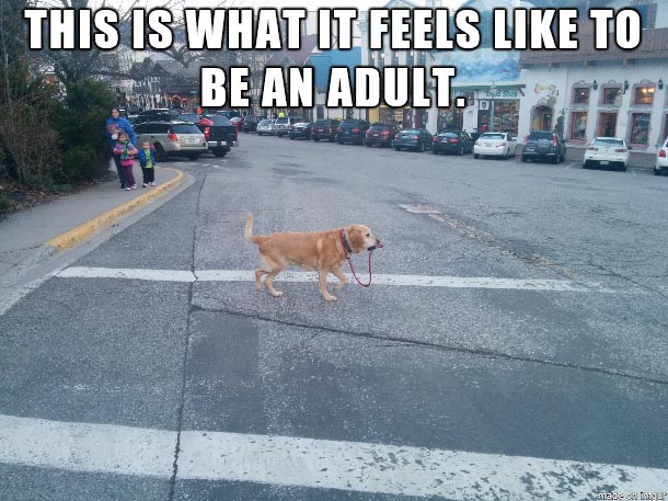 Ma, I Can’t Adult Anymore