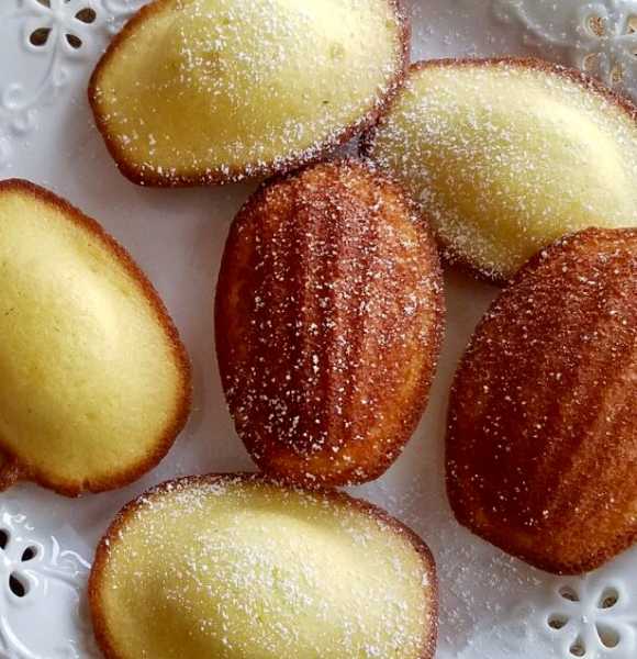 Madeleines And The Dream Of Summer
