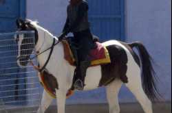 Madonna Rajasthan Visit