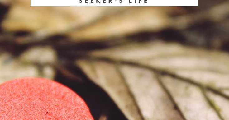 Magic Moments: A Gratitude List: The Sweetest Thing In A Seekers