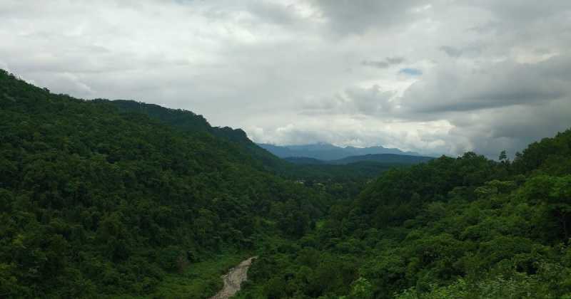 Magic Moments: Of Evening Walks And Memories Ahead