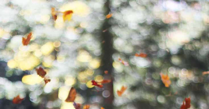 Magic Moments: The One To Leave First