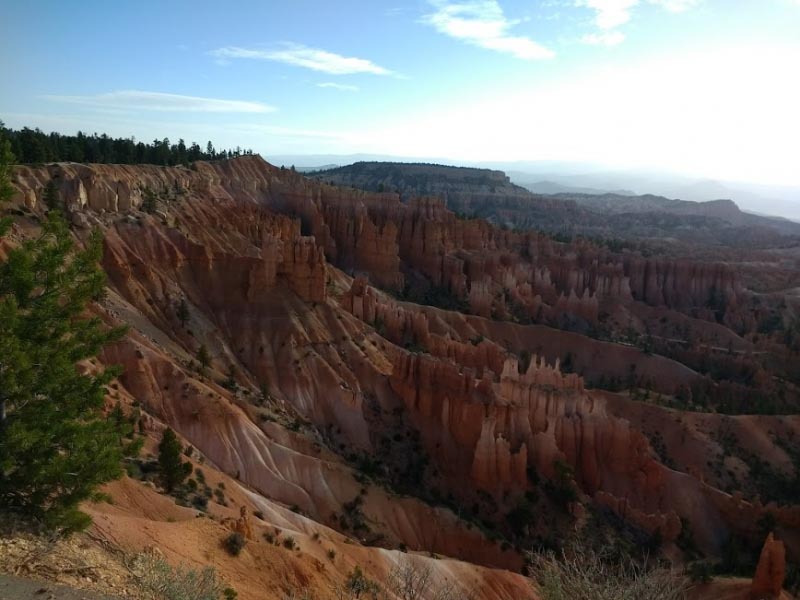 Magic Of Nature : Wordless Wednesday