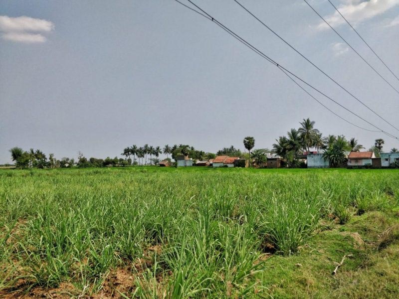 Mahavir Jain Temple In Kattumalaiyanur, A Tamil Nadu Village | Maproute Travel Blog