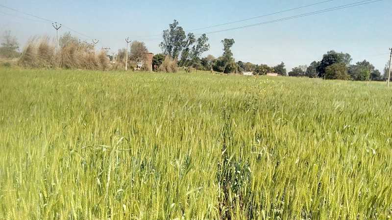 Maheshpur Azamgarh Ka