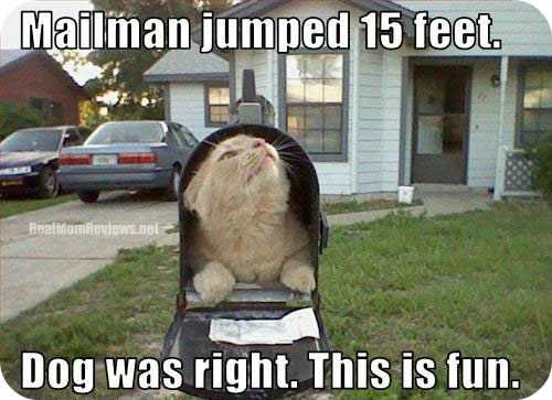 Mailbox Mondays : Oct. 1st , 2012