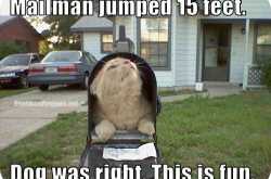 Mailbox Mondays : Oct. 1st , 2012