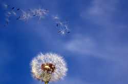 Main duniya bhula leti hun