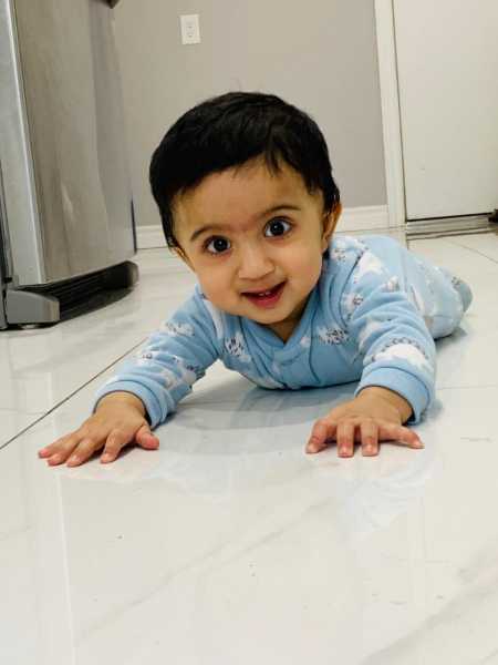 Majestic Monkey #BlogchatterA2Z