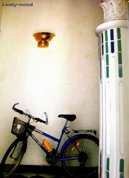 Make Peace With Whites & Then, Cool Off With Blues!