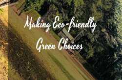 Makeup Discourse: Making Green Choices