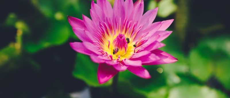 Making Time For Life Offline As A Blogger - Shailaja V