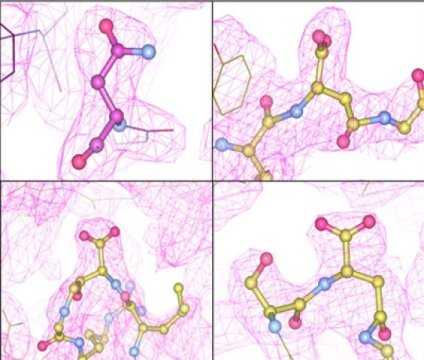 Making Gene Therapy Delivery Safer And More Efficient- BioThix.com