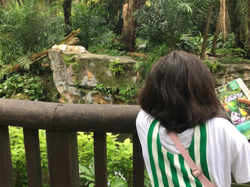 Making Memories Together..