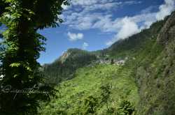 Malana: A road to desire.